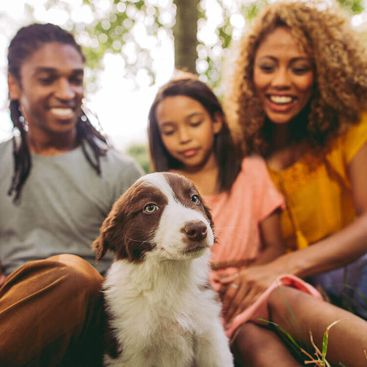 Huntington Park Apartments in Beaumont, TX